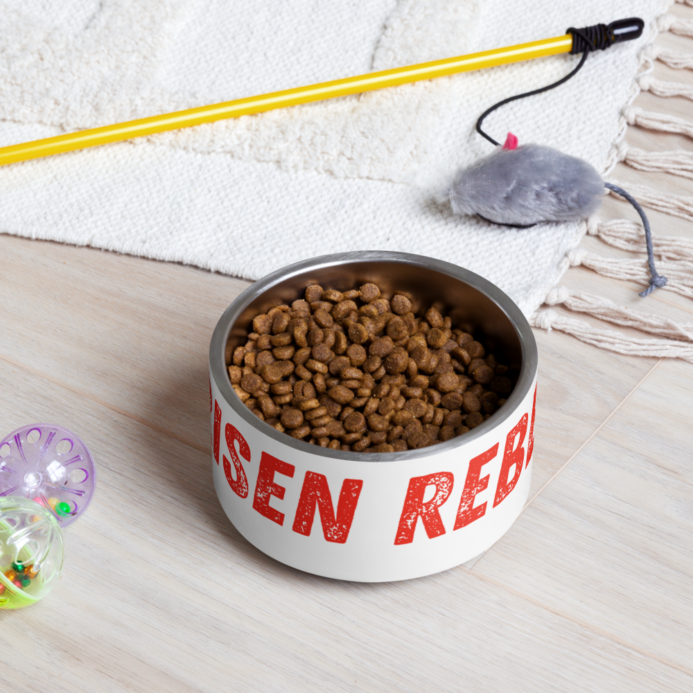 Risen Rebel Pet Bowl