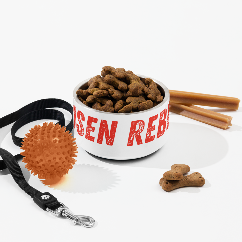 Risen Rebel Pet Bowl