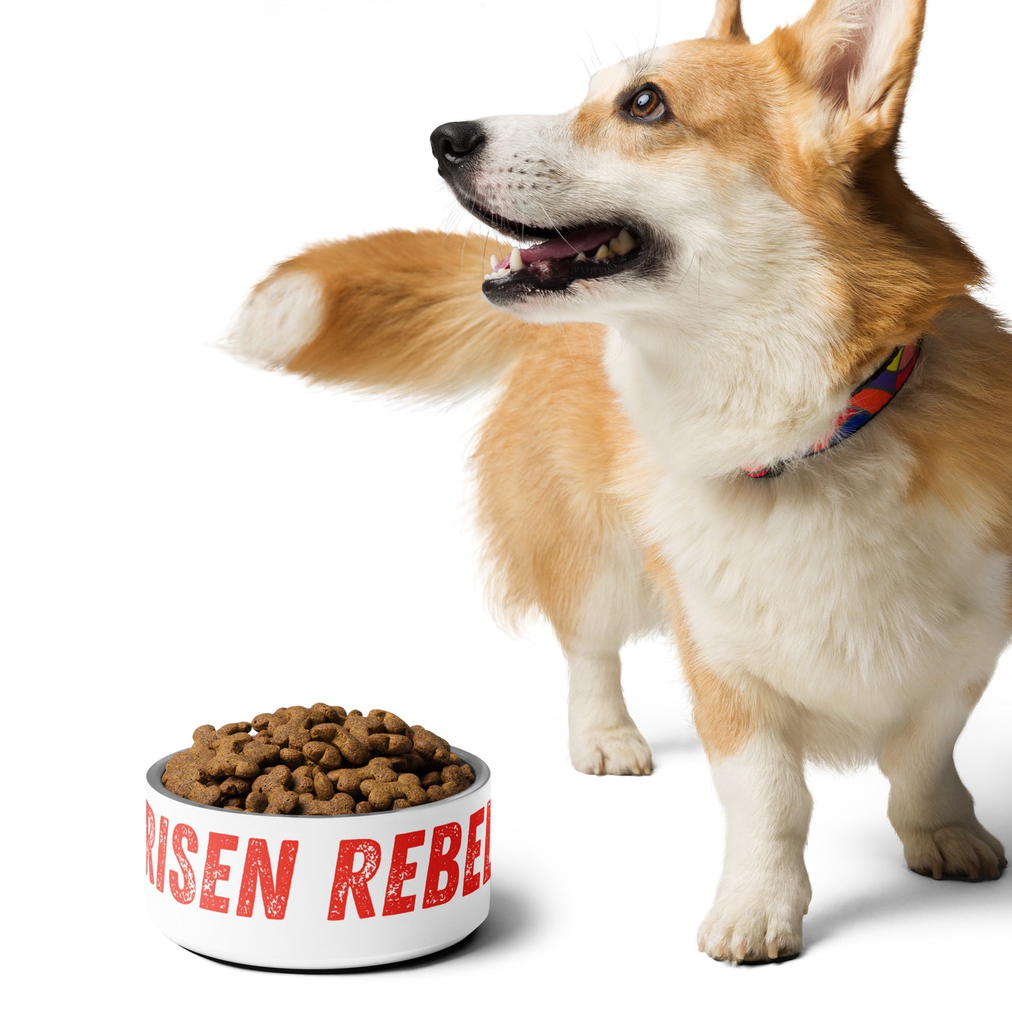 Risen Rebel Pet Bowl