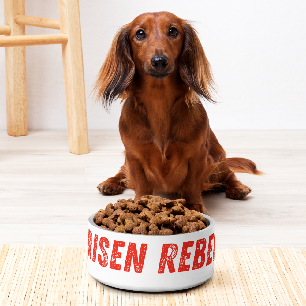 Risen Rebel Pet Bowl